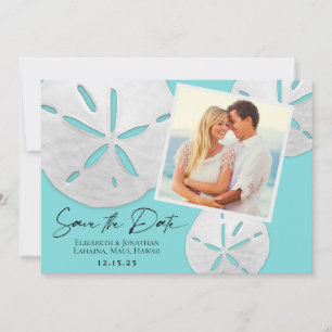 Elegant Beach Blauwgroen White Sand Dollars Foto Save The Date