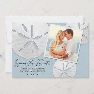 Elegant Beach Dusty Blue White Sand Dollars Foto Save The Date