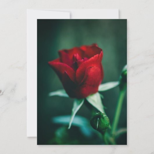 Elégant Beau Faire-part de mariage Rose (Dos)