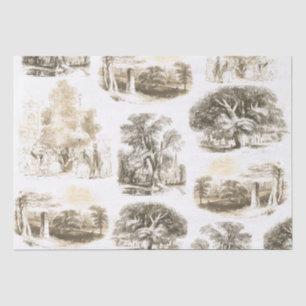 Elegant  Beige Goud Frans land Toile Tissuepapier