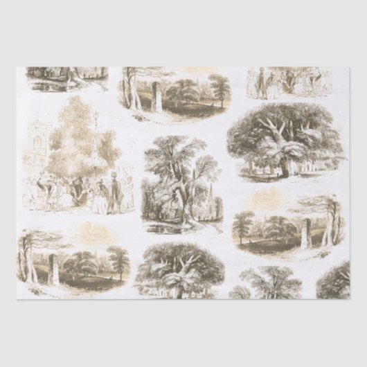 Elegant  Beige Goud Frans land Toile Tissuepapier (Voorkant)