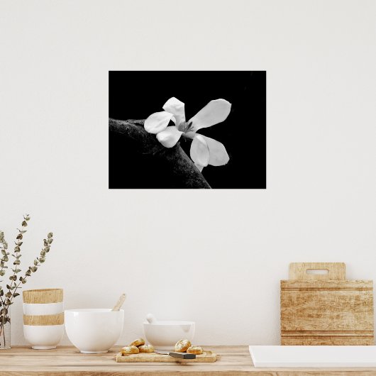 Elegant Black en White Magnolia Poster (Keuken)