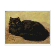 Elegant Black Persian Cat Portret