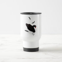 Elegant Black Swan