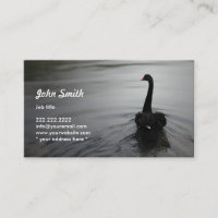 Elegant Black Swan zwemmen op een Lake Profile Car