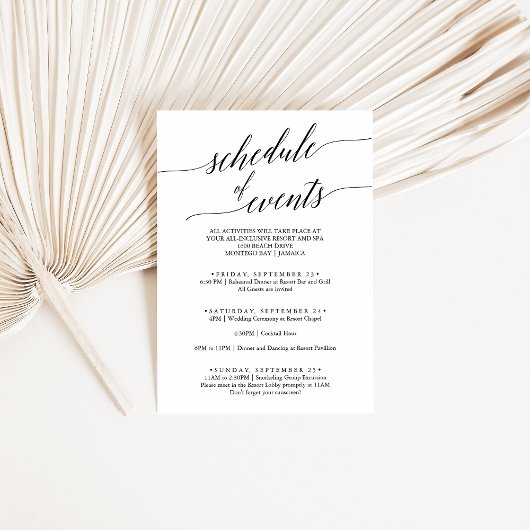 Elegant Black Wedding Weekend Schedule of Events Informatiekaartje