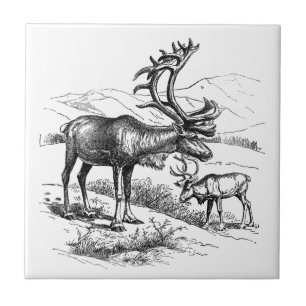 Elegant  Black White Deer Mountains Tegeltje