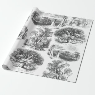 Elegant  Black White English country toile Cadeaupapier