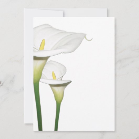 Elégant Blanc Calla Lilies Mariage Invitations (Dos)