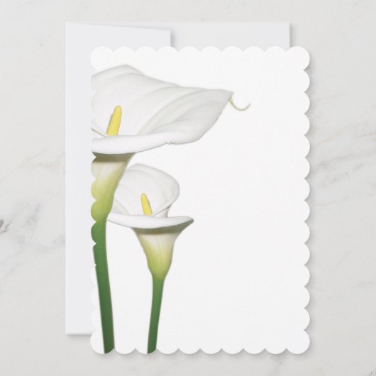 Elégant Blanc Calla Lilies Mariage Invitations (Dos)