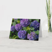 Elegant blauw paarse magenta groene bloemenhortens kaart (Voorkant)