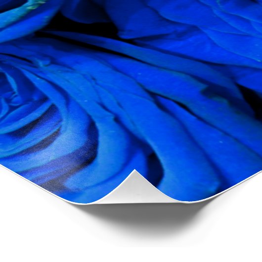 Elegant blauw roos blauw bloemblauw perfect poster (Hoek)