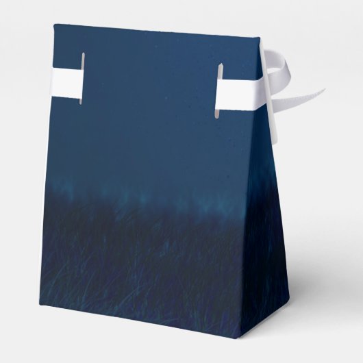 Elegant Blauw Zilveren String Lights Bruiloft Bedankdoosjes (Achterkant)