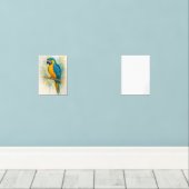 Elégant bleu & or perroquet peint Art Imprimer - T (Parquet)