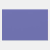 Elegant Bloemen Patroon Paarse Cream Lila Inpakpapier Vel (Voorkant 2)