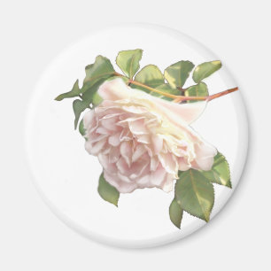 Elegant blozen roze witte bloemen rozen magneet