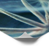Elegant Blue Dandalion Botanische Macro Abstract Poster (Hoek)