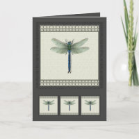 Elegant Blue Dragonfly