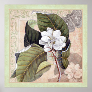 Elegant Botanical Southern Style Poster Magnolia