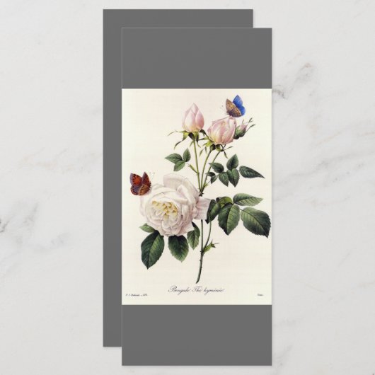 Elegant botanisch kunstgrijs bladwijzer programma (Voorkant / Achterkant)