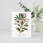 Elegant Botanisch Roos voor kerstmis Briefkaart (Staand voorkant)