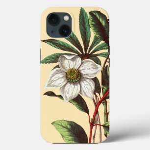 Elegant Botanisch Roos voor kerstmis iPhone 13 Hoesje