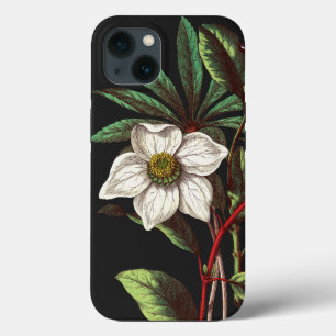 Elegant  Botanisch Roos voor kerstmis iPhone 13 Hoesje