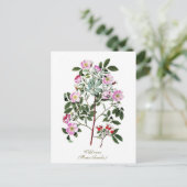 Elegant  Botanisch Roze Wilde Roos Briefkaart (Staand voorkant)