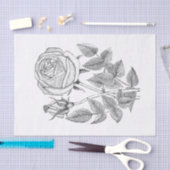 Elegant Botanisch  Zwart Wit Roos Tissuepapier (Craft)