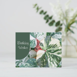 Elegant Botanische Birthday Wish Briefkaart