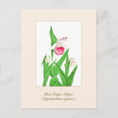 Elegant Botanische Dame's Slipper Flower Briefkaart (Voorkant)