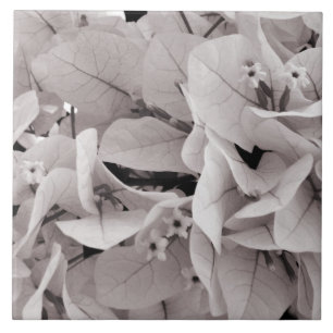 Elegant bougainvillea bloempatroon tegeltje