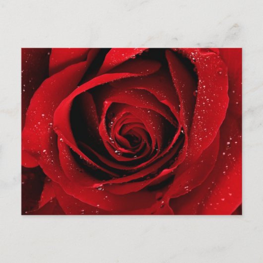 elegant briefkaart (Voorkant)