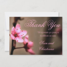 Elegant Brown en roze Japanse Cherry Blossom