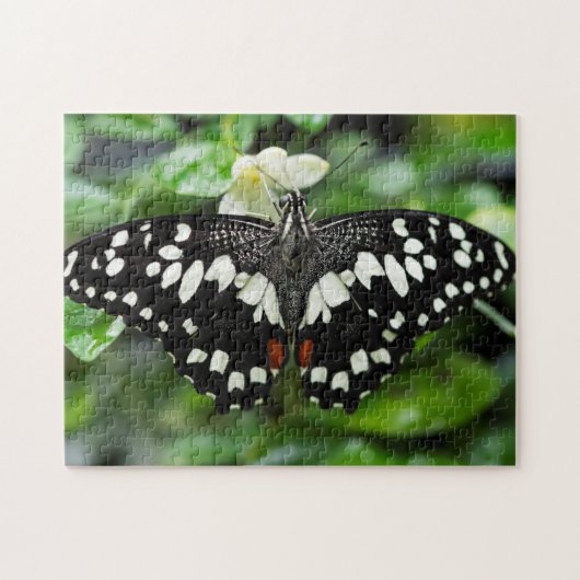 Elegant Butterfly Legpuzzel (Horizontaal)