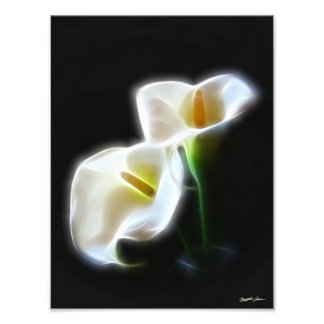 Elegant Calla Lily Flowers 13 Moderne afdrukken Foto Afdruk