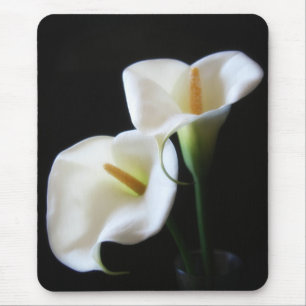 Elegant Calla Lily Flowers 13 Muismat