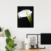 Elegant Calla Lily Flowers 15 Poster (Thuiskantoor)