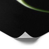 Elegant Calla Lily Flowers 16 Poster (Hoek)