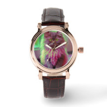 Elégant Cat montre pour amoureux des chats
