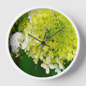 Elegant Chartreuse Green Limelight Hydrangea (Voorkant)