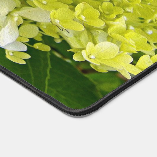 Elegant Chartreuse Green Limelight Hydrangea Bureaumat (Hoek)