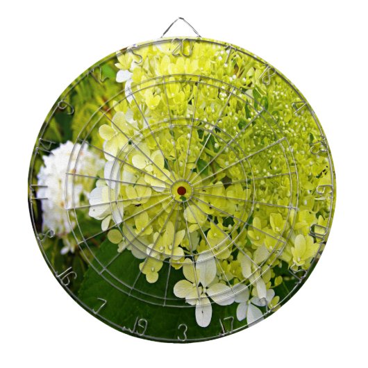 Elegant Chartreuse Green Limelight Hydrangea Dartbord (Voorkant)