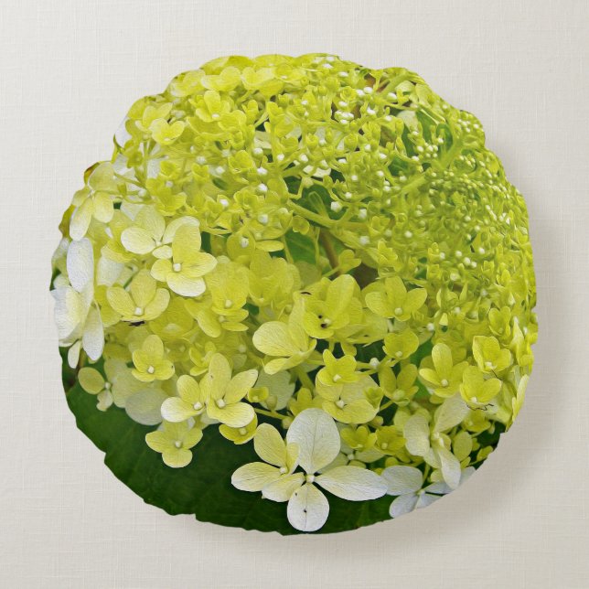 Elegant Chartreuse Green Limelight Hydrangea Rond Kussen (Voorkant)