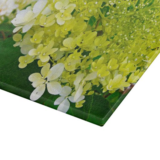 Elegant Chartreuse Green Limelight Hydrangea Snijplank (Hoek)