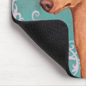 Elegant Cirneco dell'Etna Muismat (Hoek)