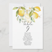 Elegant citrus table number seating chart cards (Achterkant)