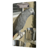 Elegant Congo African Grey Parrot op standaard Klembord (Links)