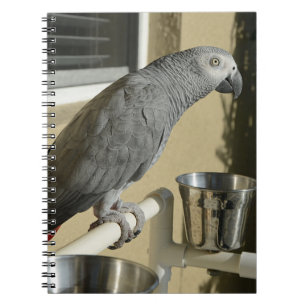 Elegant Congo African Grey Parrot op standaard Notitieboek