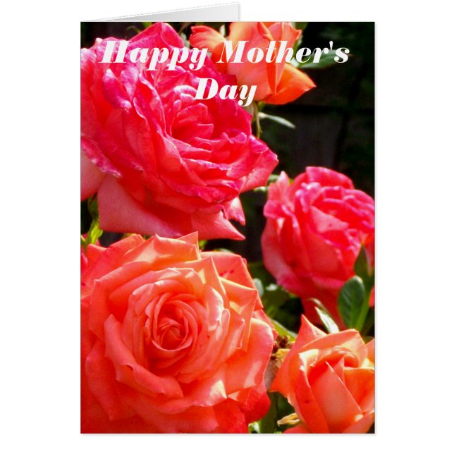 Elégant corail rouge rose orange (Devant)